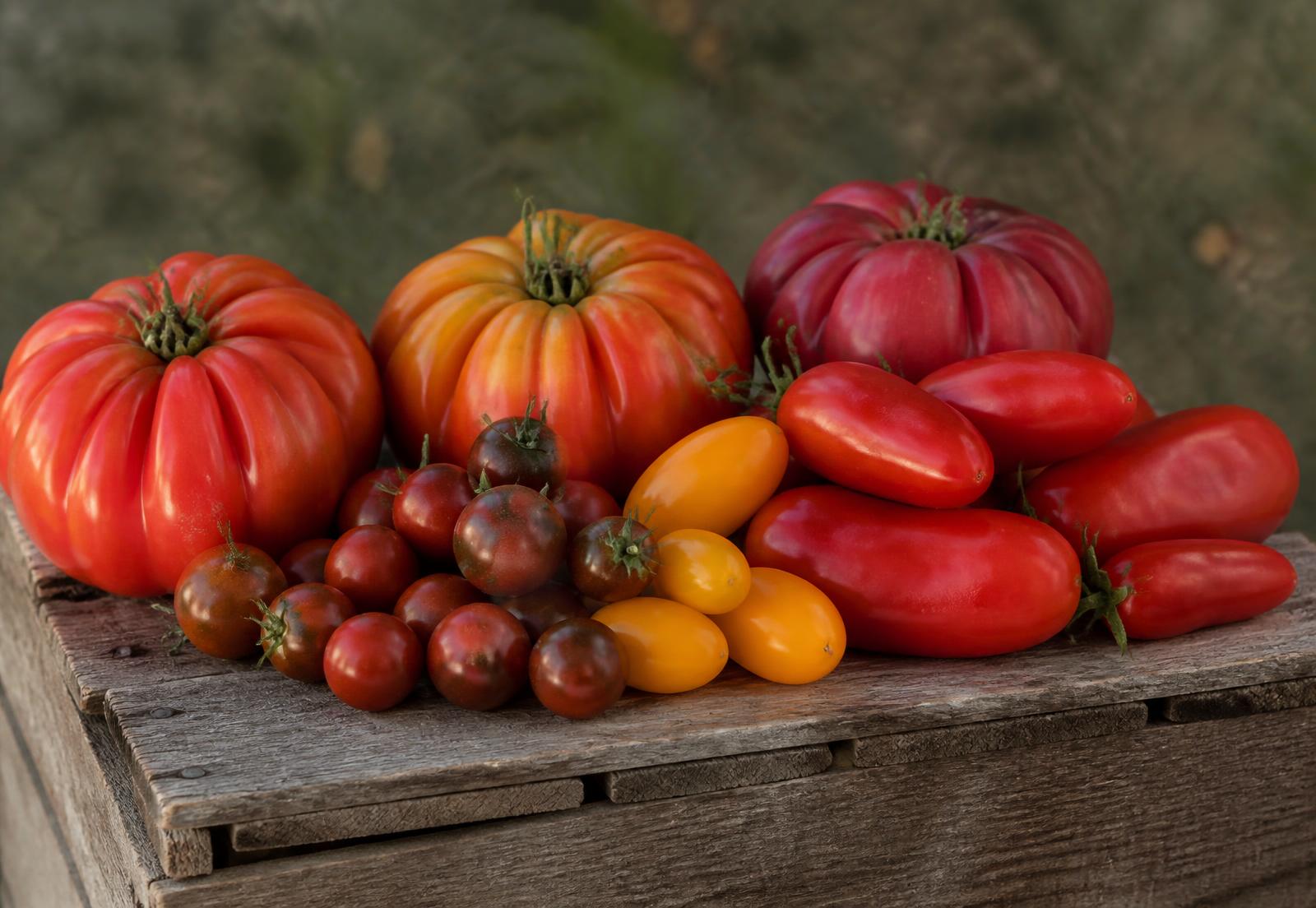 Verschillende soorten tomaten in een houten kistje